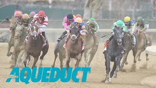 Aqueduct Simulcasting  January 26 2024 [upl. by Sanderson231]