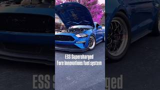 Supercharged Mustang upgrades Fuel System shorts ford [upl. by Yelram]