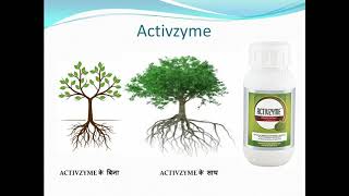 MODICARE ACTIVE ZYME OR ACTIVE MAX । पेड़ो पर उगाए पैसा [upl. by Fabian]