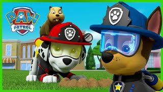 Ultimate Rescue PAW Patrol teamwork missions  PAW Patrol  Cartoons for Kids Compilation [upl. by Perusse]