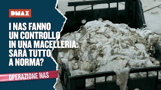 I NAS fanno un controllo in una macelleria sarà tutto a norma  Operazione NAS [upl. by Ylam]