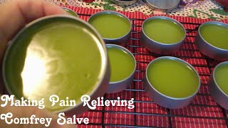 Making Comfrey Salve for Pain Relief 🌱 Easy and Beneficial [upl. by Iral559]