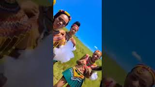 zulu travel africa culture botswanaculture love traditionalwear viralvideo africanculture [upl. by Ymmak485]