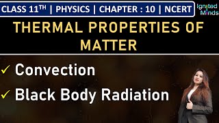 Class 11th Physics  Convection  Black Body Radiation  Chapter 10  NCERT [upl. by Suez]