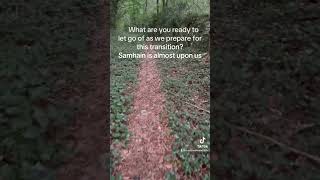 Samhain a time to let go celticwisdom samhain naturehealing transformation forestbathing calm [upl. by Borman]