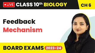 Feedback Mechanism  Control and Coordination  Class 10 Biology Chapter 6 LIVE [upl. by Leopoldeen]