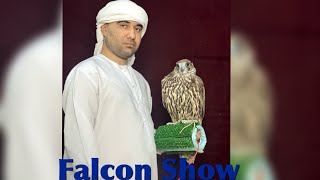 Welcome to light falcon show [upl. by Rayburn]