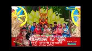 Anjali Bhardwaj Bhakti Song  Nimiya ke Dhar Maaiya Bhojpuri Devigeet Bhakti Song [upl. by Nonnaihr]