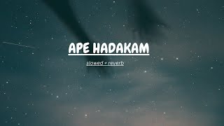 Ape Hadakam  අපෙ හාදකම්  slowed  reverb [upl. by Zeta9]