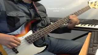 El Palomito Bass Cover Los Cadetes de Linares Tutorial [upl. by Ivory]