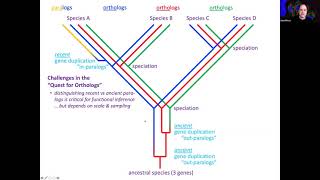 Orthology Lecture [upl. by Sundstrom]