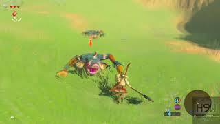 Zelda Breath Of The Wild OverPowered Woodcutters Axe Bug [upl. by Gurias]