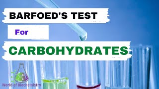 Barfoeds Test  General test for carbohydrates identification [upl. by Gilligan]