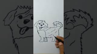 Tutorial Of Maltipoo Dog [upl. by Ysnat]