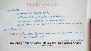 Kalıtım 10 Sınıf  Soy Ağacı  Kan Grupları  Rh Sistemi  Kan Grubu Tayini  Kısım 1 [upl. by Honig495]