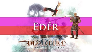 Pillars Of Eternity 2 Deadfire Edér Companion Build Guide TurnBased amp RTWP [upl. by Anicart303]