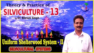 SILVICULTURE 13  The Uniform Shelterwood System II by Dr Bikram Singh [upl. by Warton]