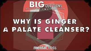 Why is ginger a palate cleanser  Big Questions  Ep 38 [upl. by Hecklau]