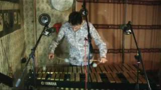 Johann Jacob FROBERGER Toccata II D minor FbWV 102 Performed by Yan Snimschikov vibraphone [upl. by Anum773]