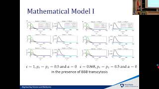 Modeling Transport and Neuronal Effects of Alzheimer’s Drug Donepezil Hydrochloride [upl. by Bamford]