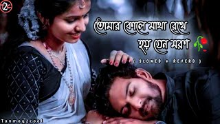 Chaya hoye thako pashe🌚🥀 SlowedReverd  Tomar kole matha rekhe Hoy Jano Moron😇Bengali full song [upl. by Luoar]