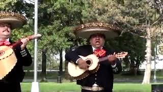 happy birthday 🎈🎈🎈 mariachi band from Hidalgo Mexico [upl. by Tema]