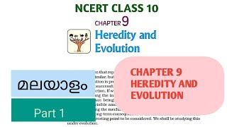 NCERT CLASS 10CHAPTER 9HEREDITY AND EVOLUTION PART 1 explained in malayalam [upl. by Hajin255]