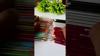 which colour is bestPencil 🆚Pencil Colourshorts trending short colour art drawing explore [upl. by Trebloc]