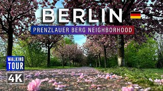 Walking Tour through the Berlin Prenzlauer Berg Neighbourhood  Germany 4k [upl. by Wengert]