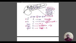 Endocrinology Diabetes L2 part 1 BY DR ANTONIUS [upl. by Zolner743]