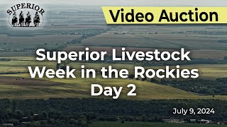 Superior Livestock Auction  Week in the Rockies Day 2 [upl. by Landa]