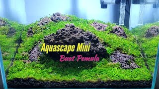 tutorial membuat aquascape tema iwagumi dengan moss dijadikan karpet [upl. by Quillon]