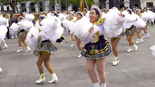 Con orden y talento el CDA UNI presente con Tuntuna en Pasacalle Afomanía 50 en Centro de Lima 2024 [upl. by Nnaitak]