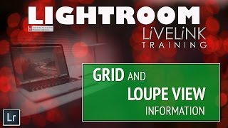 Lightroom Tutorials for Beginners Grid and Loupe View Display Options [upl. by Jorgan]