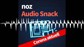 1712 Welche CoronaRegeln an Weihnachten und Silvester gelten  NOZ Audio Snack [upl. by Wei]