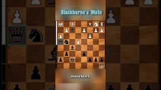 Master The Blackburnes Mate in Chess🤯chesscom chess proplayer chessgame grandmaster [upl. by Ive]