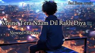 Meine Tera Naam Dil Rakh Diya  SlowedRevers  Sad Song  Lofi song [upl. by Wareing367]