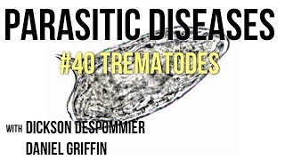 Parasitic Diseases Lectures 40 Trematodes [upl. by Koerlin895]