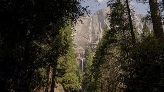 California 101 Yosemite National Park [upl. by Ahsiral]