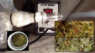 DIY vaporizer with balloons including trichomes microscopy before amp after [upl. by Felic101]