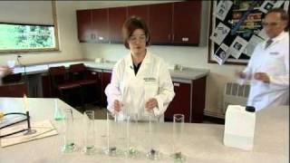 Decomposition of hydrogen peroxide [upl. by Bainbridge320]