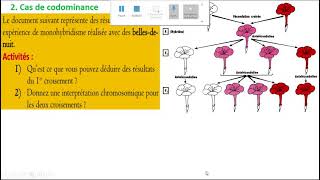 2 bac  cas de codominance حالة تساوي السيادة [upl. by Holle789]