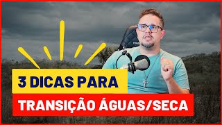 3 cuidados para GADO DE CORTE na TRANSIÇÃO ÁGUAS SECA [upl. by Ollecram]