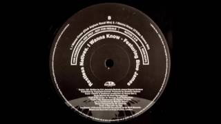 Restless Natives  I Wanna Know Bini amp Martini Dub 2000 [upl. by Animlehliw]