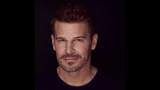 QampA David Boreanaz FACTS 2024 saturday [upl. by Stewardson572]