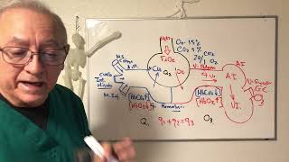 Aristas de la Hemodinamia Principio de Fick Q1Q2 Q3 Sistema venoso Paralelo [upl. by Sirehc856]