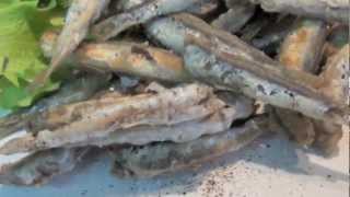 How to make Fried Anchovies Recipe [upl. by Weisman]