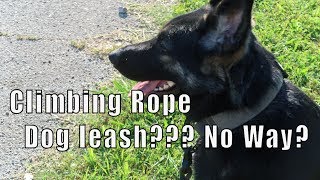 Ultimate Climbing Rope Dog Leash made in USA [upl. by Hnahc]