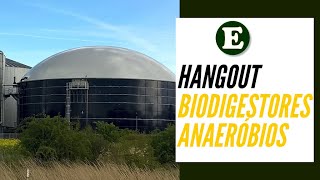 Hangout Biodigestores Anaeróbios [upl. by Eberhard]