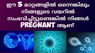 Early Pregnancy Stomach Changes Malayalam Deechus World [upl. by Cullen349]